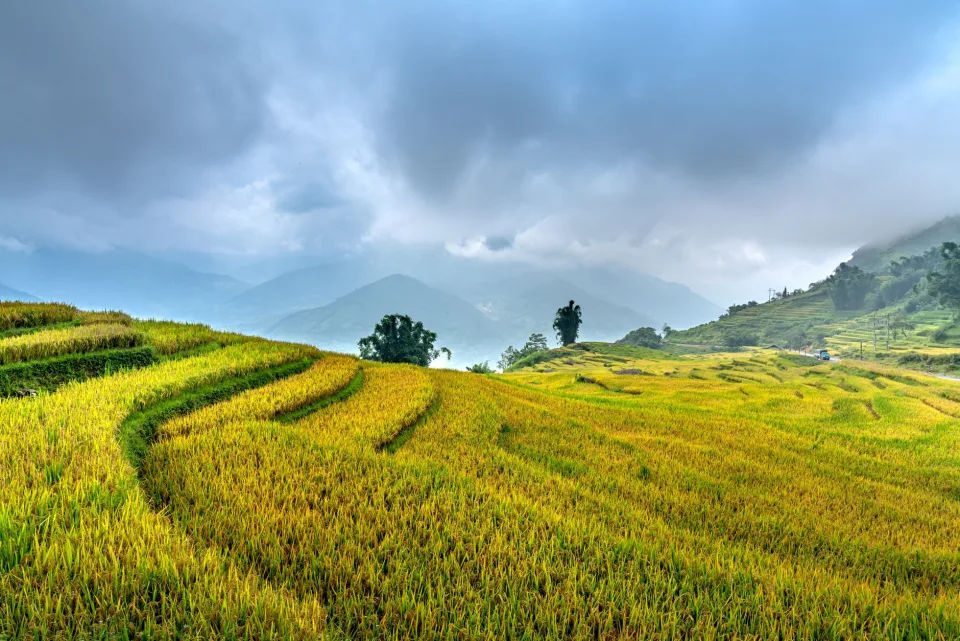 Kho gạo của Trần Thị Bê